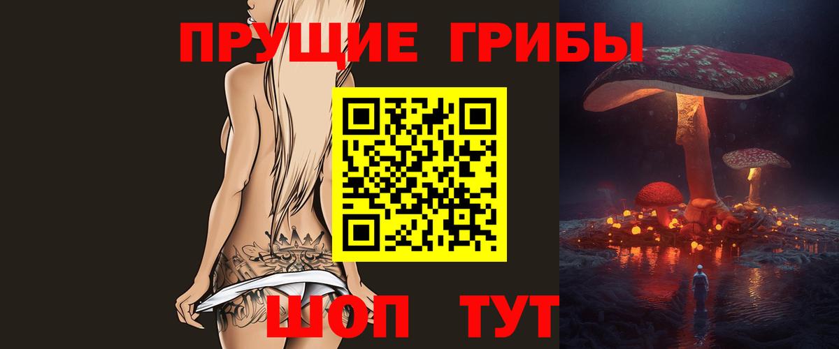 Гай  Псилоцибиновые грибы Psilocybe  Вход с VPN 